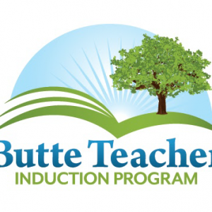 EDUP 9306: Teacher Induction Year 1 - BCOE (6 credits)